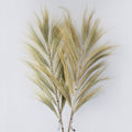 Rayung Grass Blond - 2mRayung GrassHeart Notes
