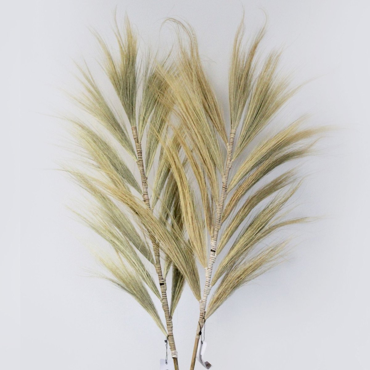 Rayung Grass Blond - 2mRayung GrassHeart Notes