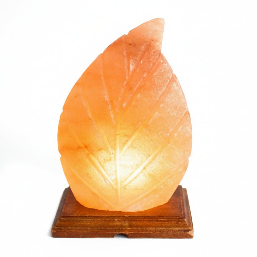 Multicolour Himalayan Salt Lamp Fern ShapedQuality Himalayan Salt Lamps & Candle HoldersHeart Notes