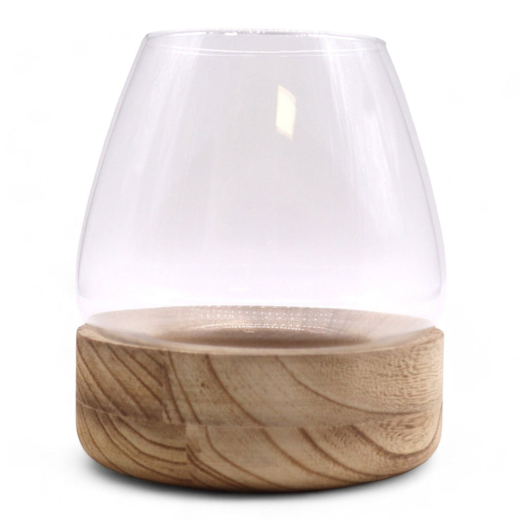 Large Terrarium on Natural Tung WoodGlass TerrariumsHeart Notes