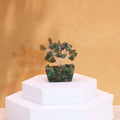 Mini Gemstone Tree On Orgonite Base - Green Aventurine (15 stones)Mini Gemstone TreesHeart Notes