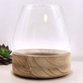 Large Terrarium on Natural Tung WoodGlass TerrariumsHeart Notes