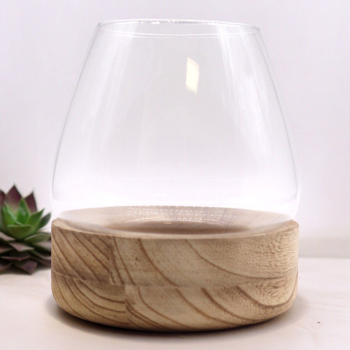Large Terrarium on Natural Tung WoodGlass TerrariumsHeart Notes