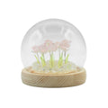 Floral Glow Garden Dome - 10 Pink Roses - LED USBFloral Glow Garden DomeHeart Notes