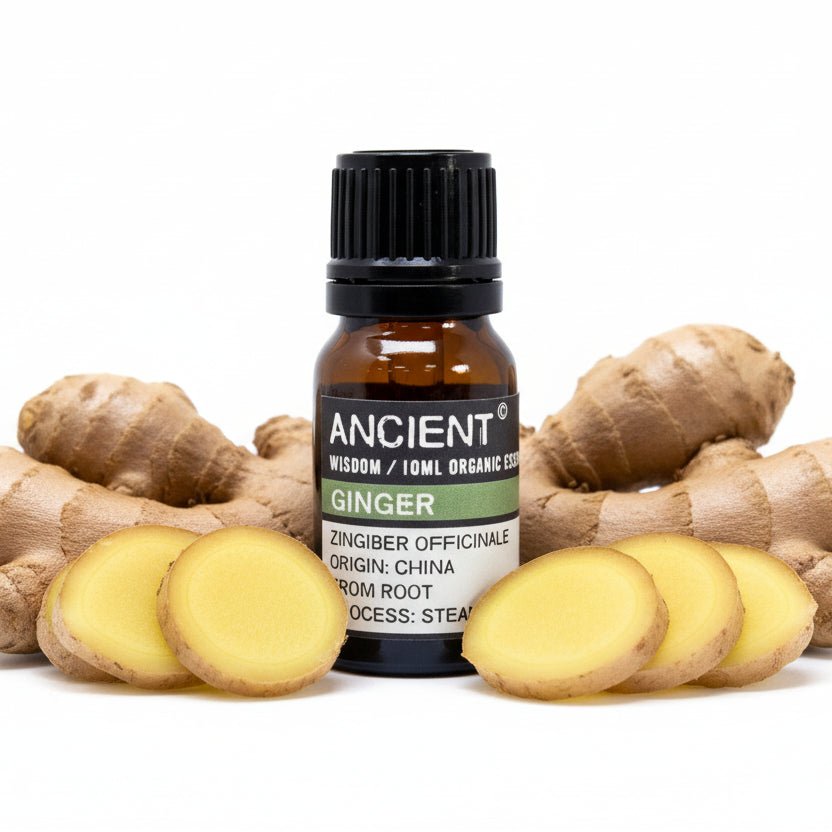 Ginger Organic Essential Oil 10mlOrganic Essential OilsHeart Notes