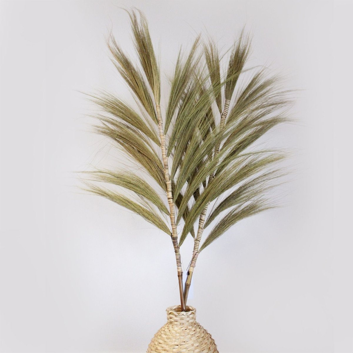 Rayung Grass Natural - 1.6mRayung GrassHeart Notes
