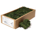 Decoration Reindeer Moss - Grass Green - (approx 500gm)Decorative Reindeer MossHeart Notes