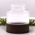Small Shaped Terrarium on Dark Tung WoodGlass TerrariumsHeart Notes