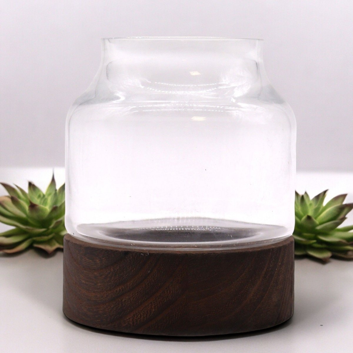 Small Shaped Terrarium on Dark Tung WoodGlass TerrariumsHeart Notes