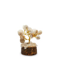 Small Gomati Chakra Circle Stone Tree with Rudraksha - (15 stones)Gomati Chakra Stone TreesHeart Notes