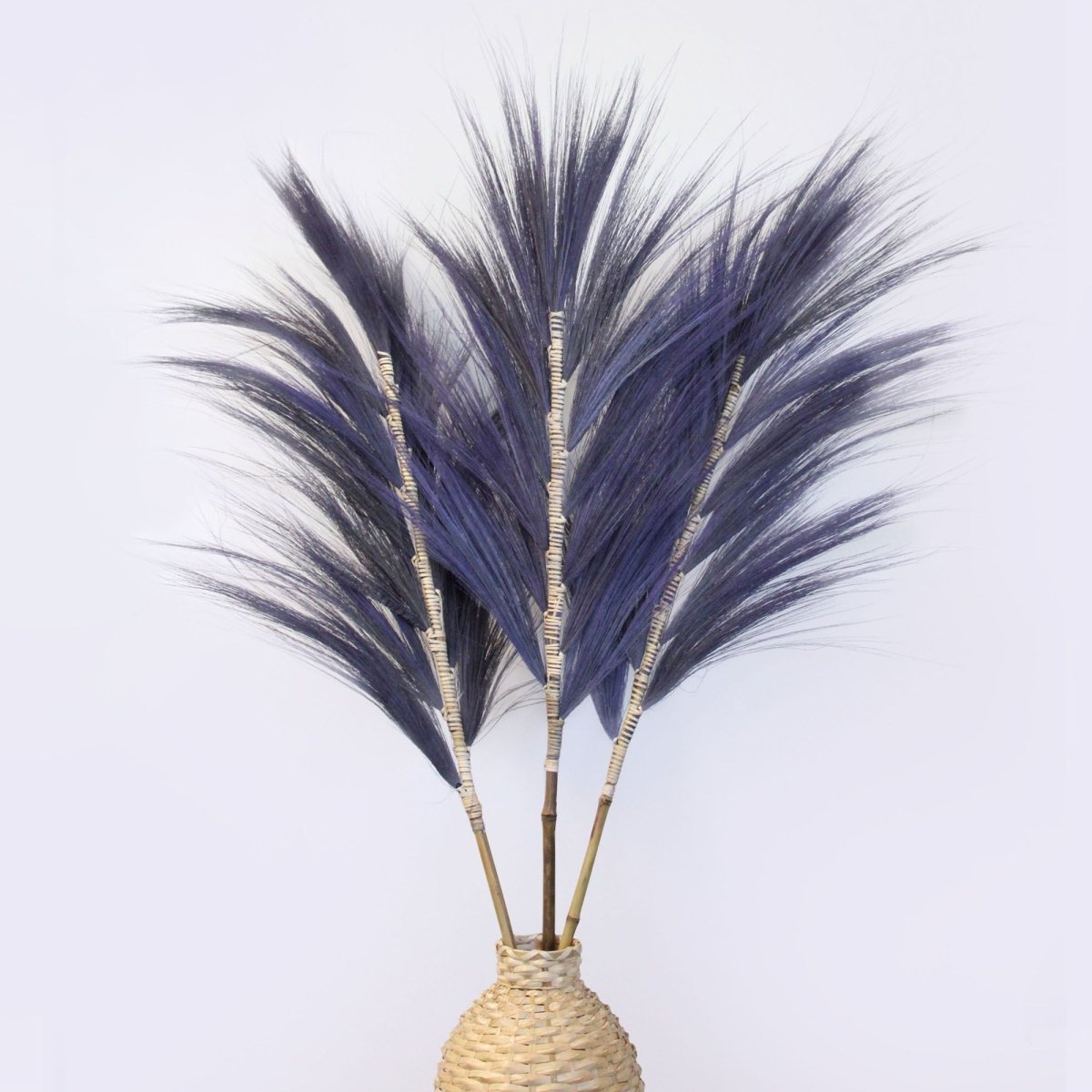 Rayung Grass Lavender - 1.6mRayung GrassHeart Notes