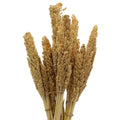 Cantal Grass Bunch - NaturalCantal Grass BunchesHeart Notes