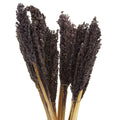 Cantal Grass Bunch - BlackCantal Grass BunchesHeart Notes