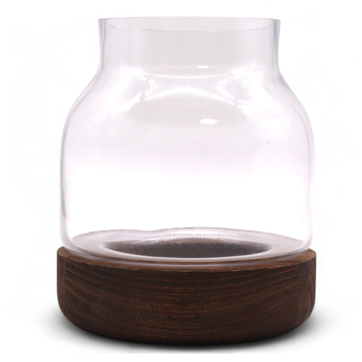 Medium Shaped Terrarium on Dark Tung WoodGlass TerrariumsHeart Notes