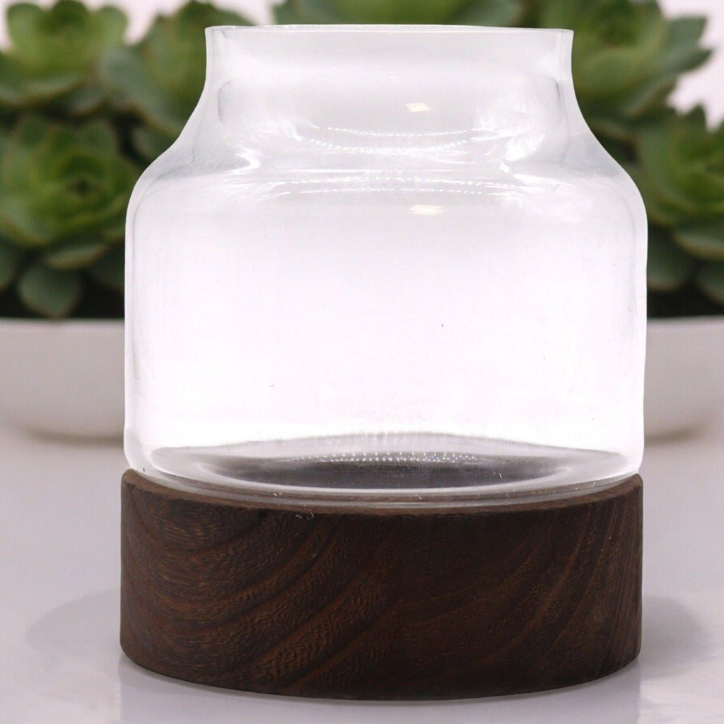 Medium Shaped Terrarium on Dark Tung WoodGlass TerrariumsHeart Notes