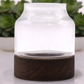 Medium Shaped Terrarium on Dark Tung WoodGlass TerrariumsHeart Notes