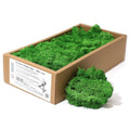 Decoration Reindeer Moss - Moss Green - (approx 500gm)Decorative Reindeer MossHeart Notes