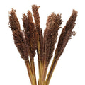 Cantal Grass Bunch - ChocolateCantal Grass BunchesHeart Notes