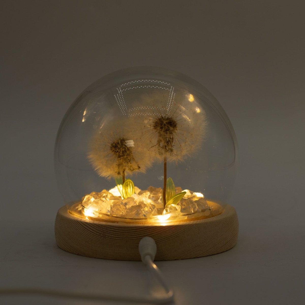 Floral Glow Garden Dome - 2 Dandelions - LED USBFloral Glow Garden DomeHeart Notes