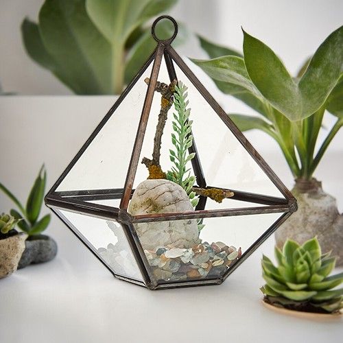Glass Terrarium - Small DiamondGlass TerrariumsHeart Notes