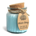 Winter Berry Soy Pot of Fragrance CandlesSoy Pot of Fragrance CandleHeart Notes