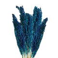 Cantal Grass Bunch - BlueCantal Grass BunchesHeart Notes
