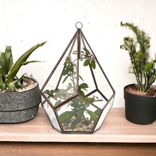 Glass Terrarium - Large PentagonGlass TerrariumsHeart Notes