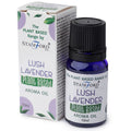 Plant Based Aroma Oil - Lush LavenderPlant Based Aroma OilHeart Notes