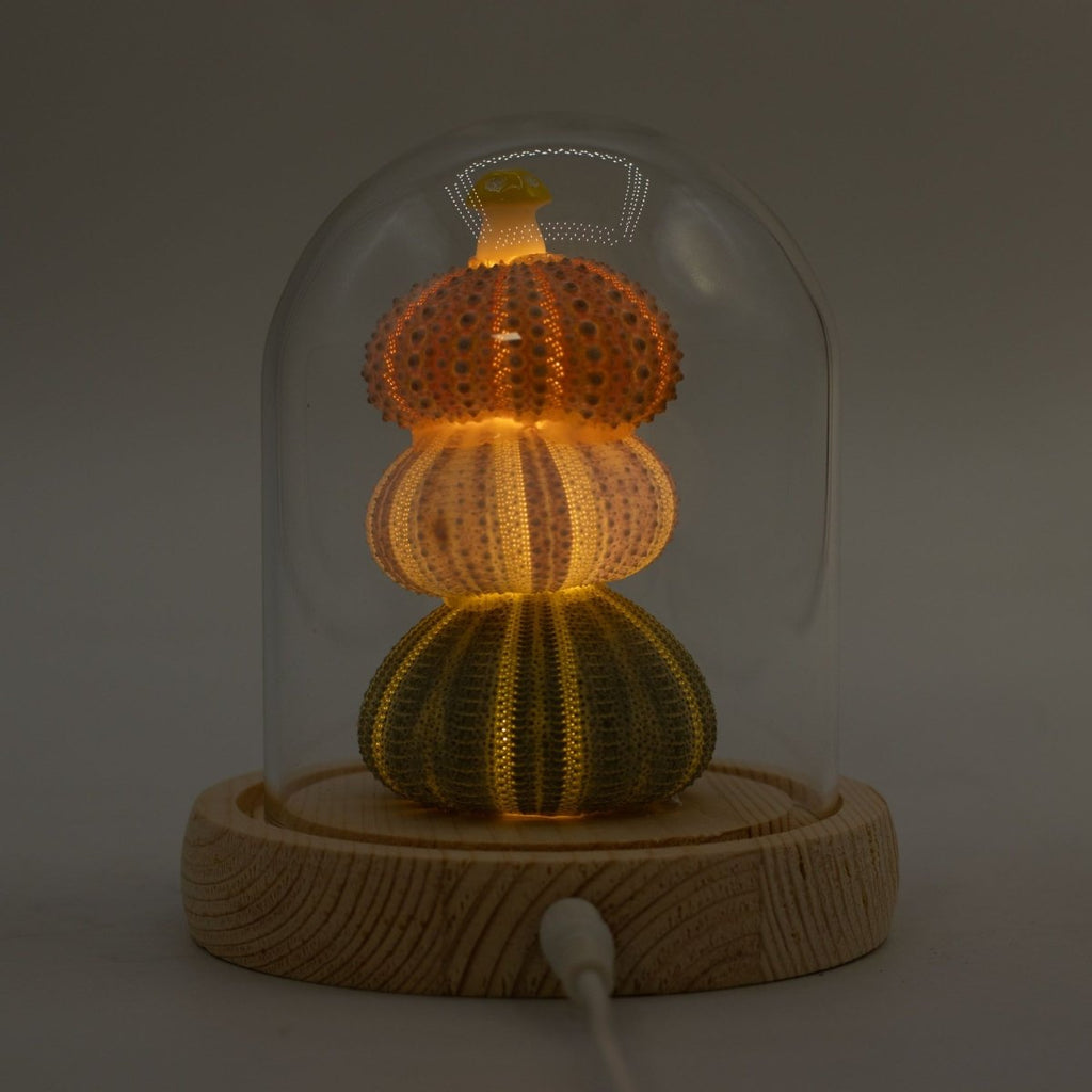 Floral Glow Garden Dome - 3 Sea Urchins - LED USBFloral Glow Garden DomeHeart Notes
