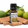 10ml Aromatherapy Car Blend - Family TripAromatherapy Blends for Car DiffusersHeart Notes