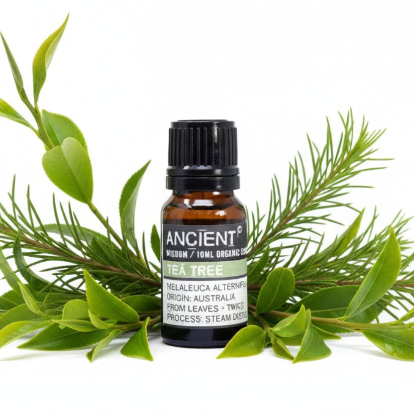 Tea Tree Organic Essential Oil 10mlOrganic Essential OilsHeart Notes