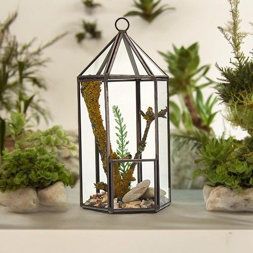 Glass Terrarium - Lantern ShapeGlass TerrariumsHeart Notes