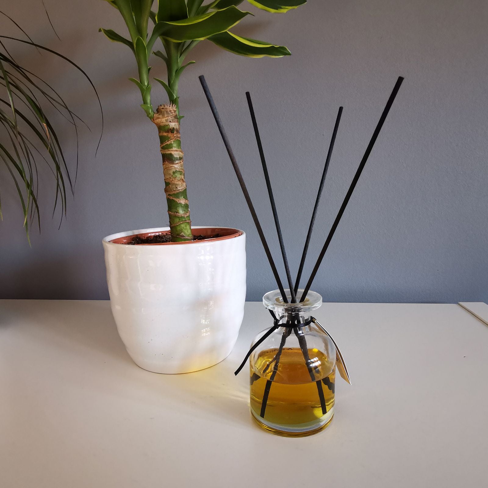 Fibre Black Reed Diffuser Sticks 25cm x 3mm