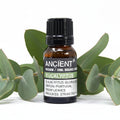 Eucalyptus Organic Essential Oil 10mlOrganic Essential OilsHeart Notes