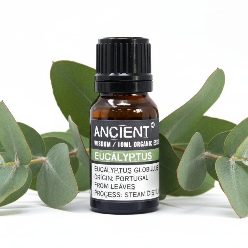 Eucalyptus Organic Essential Oil 10mlOrganic Essential OilsHeart Notes