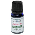 Plant Based Aroma Oil - SensualityPlant Based Aroma OilHeart Notes