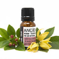 10ml Aromatherapy Car Blend - Grand TourAromatherapy Blends for Car DiffusersHeart Notes