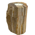 Petrified Wood Candle Holder - Single TallPetrified Wood Candle HolderHeart Notes