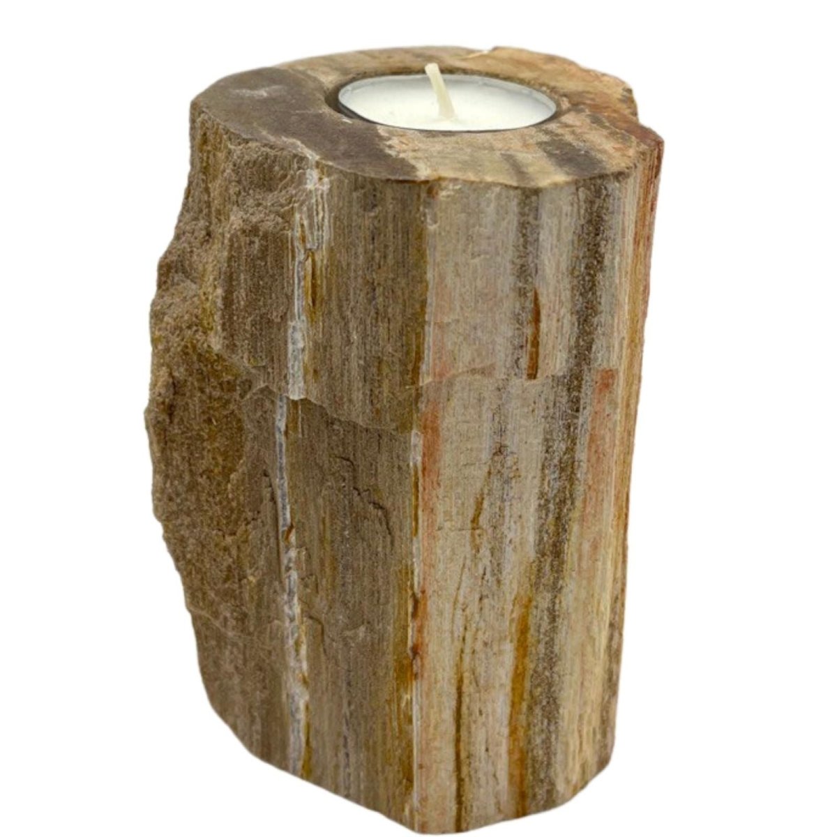Petrified Wood Candle Holder - Single TallPetrified Wood Candle HolderHeart Notes