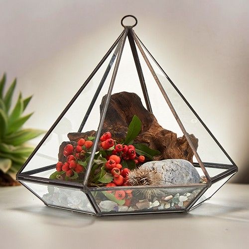 Glass Terrarium - Large DiamondGlass TerrariumsHeart Notes