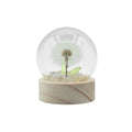 Floral Glow Garden Dome - 1 Dandilion - LED BatteryFloral Glow Garden DomeHeart Notes