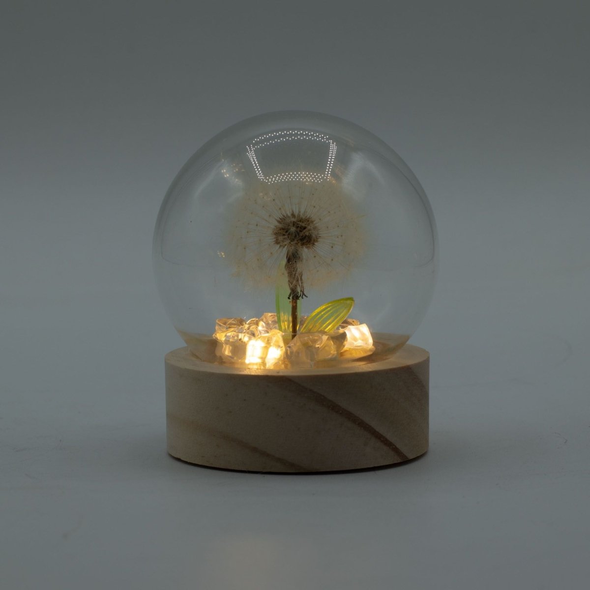 Floral Glow Garden Dome - 1 Dandilion - LED BatteryFloral Glow Garden DomeHeart Notes