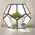 Glass Terrarium - Large OctagonGlass TerrariumsHeart Notes