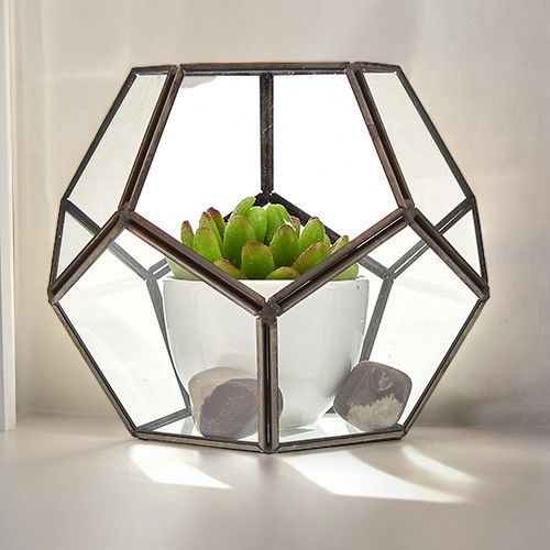 Glass Terrarium - Large OctagonGlass TerrariumsHeart Notes