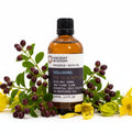 Wellbeing Massage Oil - 100ml100 ML Bottle Massage OilsHeart Notes