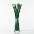 Green Reed Diffuser Sticks - 25cm x 3mm - 500gBulk Reed Diffuser ReedsHeart Notes
