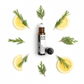 10ml Roll On Essential Oil Blend - Just Focus!Roll - On Essential Oil BlendsHeart Notes