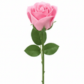 Single Rose - Pink RoseLuxury Soap FlowersHeart Notes