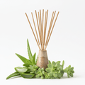 Plant Based Masala Incense Sticks - Aloe VeraPlant Based Masala Incense SticksHeart Notes