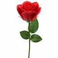 Single Rose - Red RoseLuxury Soap FlowersHeart Notes